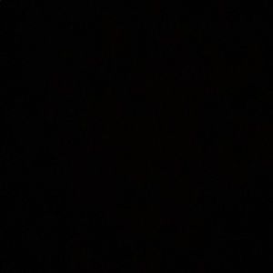 Meet your Posher, Brendan